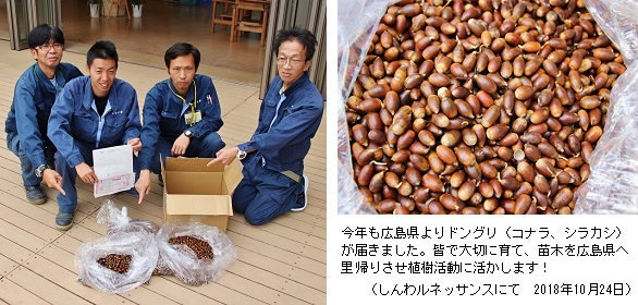 広島どんぐりhpIMG_7273.jpg