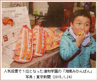 東京新聞（2015.1.24)みかんぱんｈｐIMG_0279.jpg