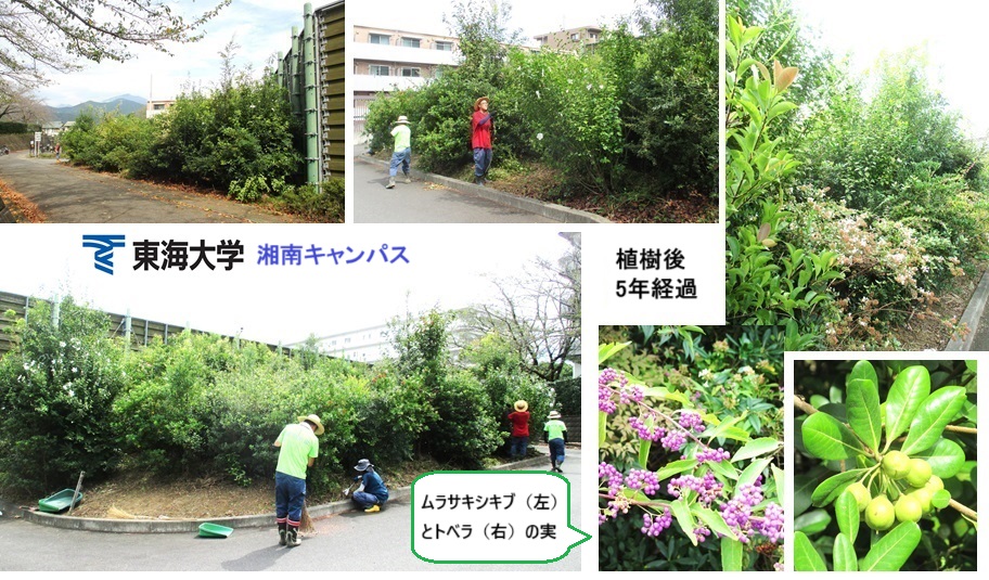 東海大hpIMG_0982.jpg