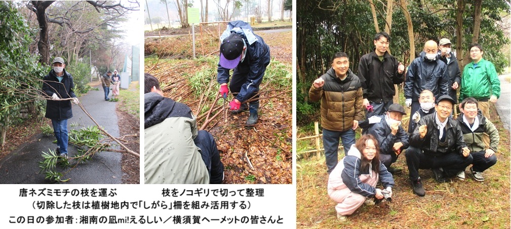 枝運びhpIMG_2859.jpg