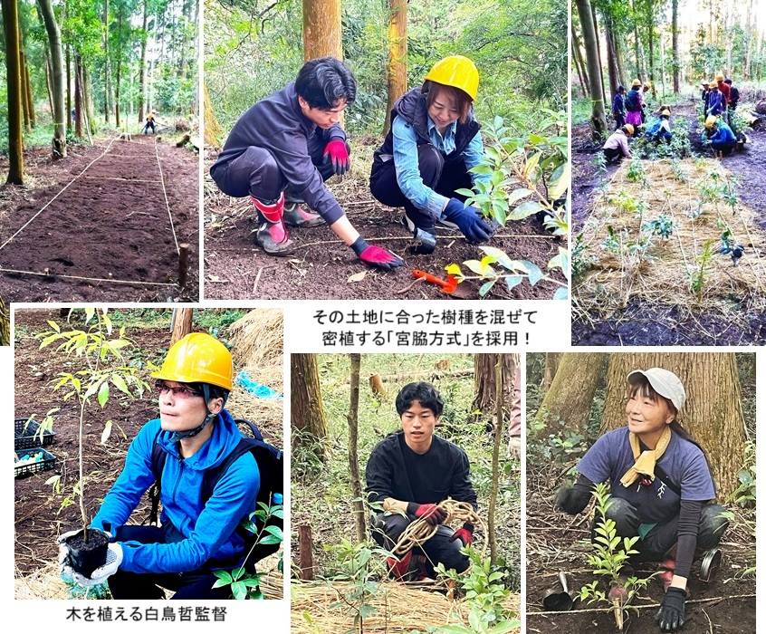 植hp91960.jpg