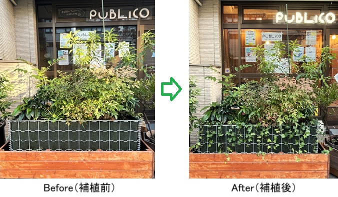 植栽前hp1733320646101.jpg