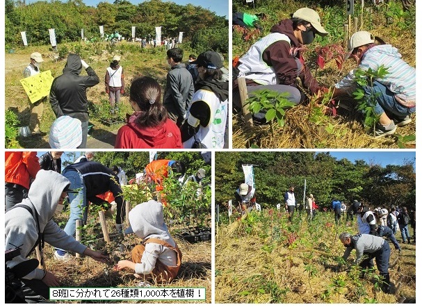 植樹hp2IMG_5495.jpg