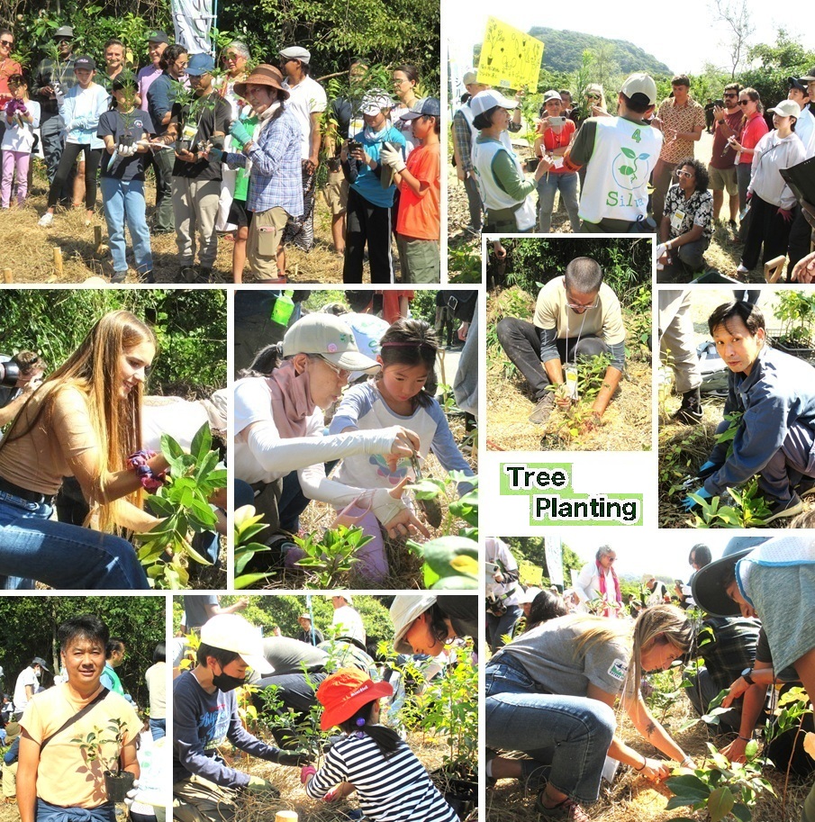 植樹hpIMG_1257.jpg