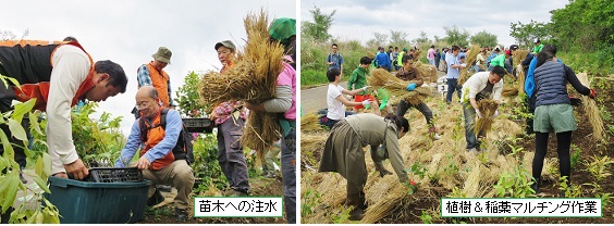 植樹作業hpIMG_8805.jpg