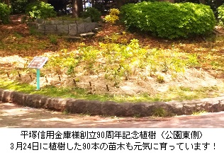 植樹地HPDSC_1544 (006).jpg