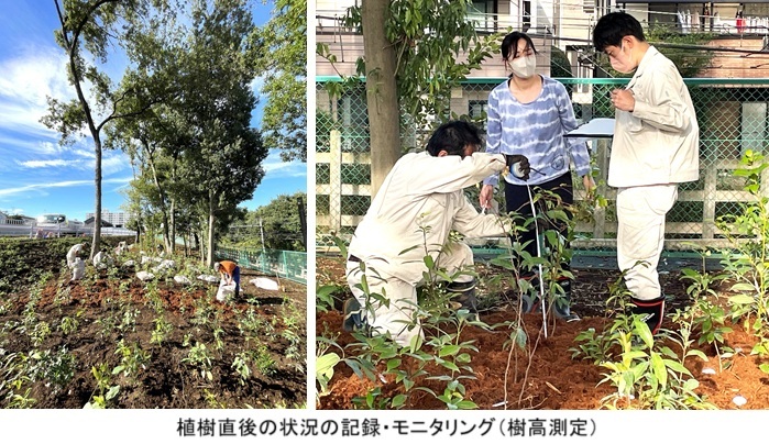 植樹地hp474237.jpg