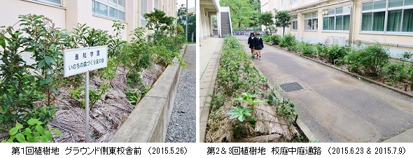 植樹地hpIMG_2777.jpg