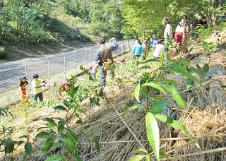 植樹地hpIMG_9848.jpg