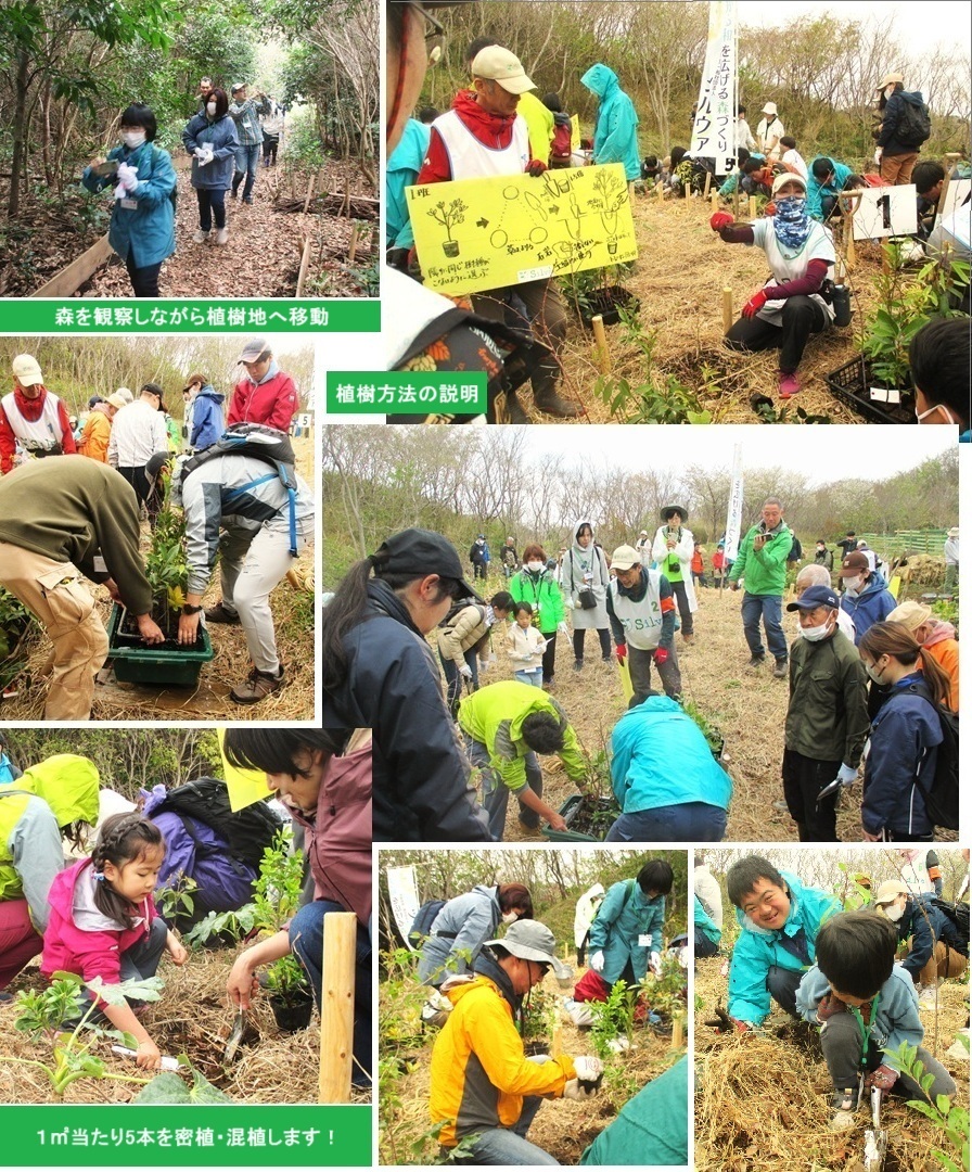 植樹地hp２IMG_3170.jpg