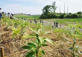 植樹完了hpIMG_5123.jpg