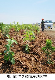 植樹完了ｈｐIMG_9162.jpg