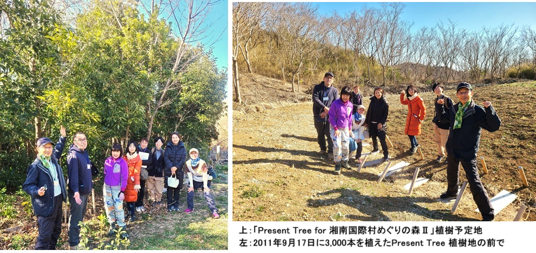 植樹実績hpmzfQoCtN.jpg