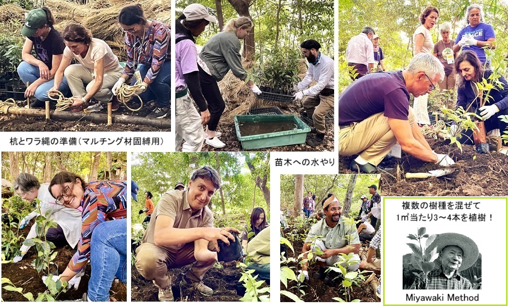 植樹ｈｐ1728907964523.jpg
