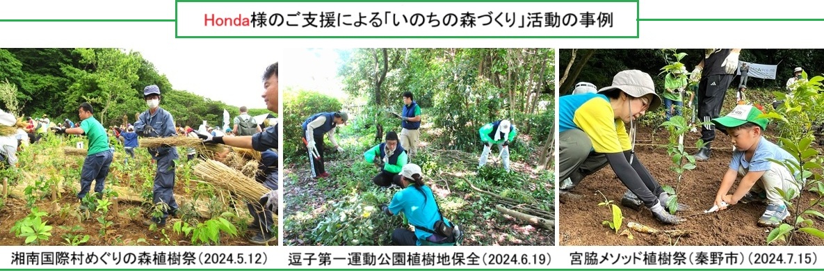 植樹ｈｐ3IMG_0122.jpg