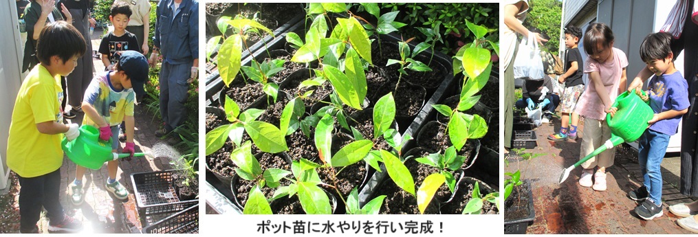 水やりhpIMG_9974.jpg