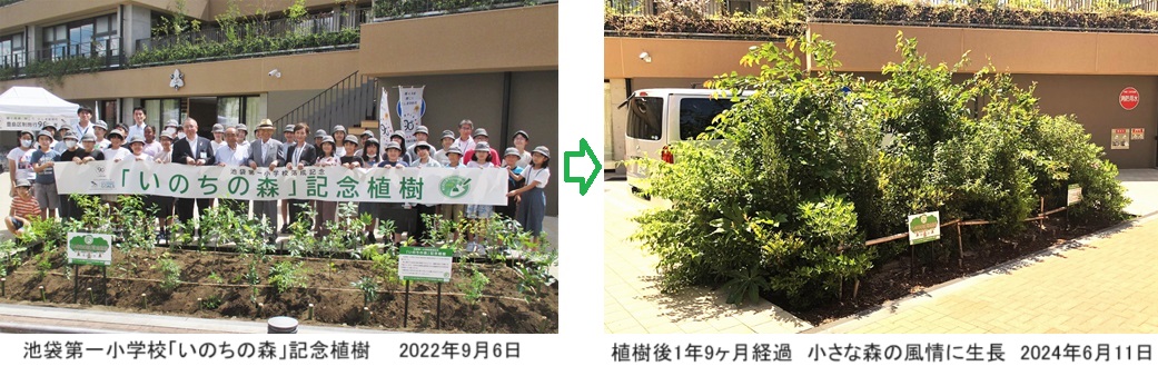 池袋第一小学校ｈｐIMG_4588.jpg