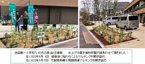 池袋第一小記念植樹仕上げ完成hpIMG_3425.jpg