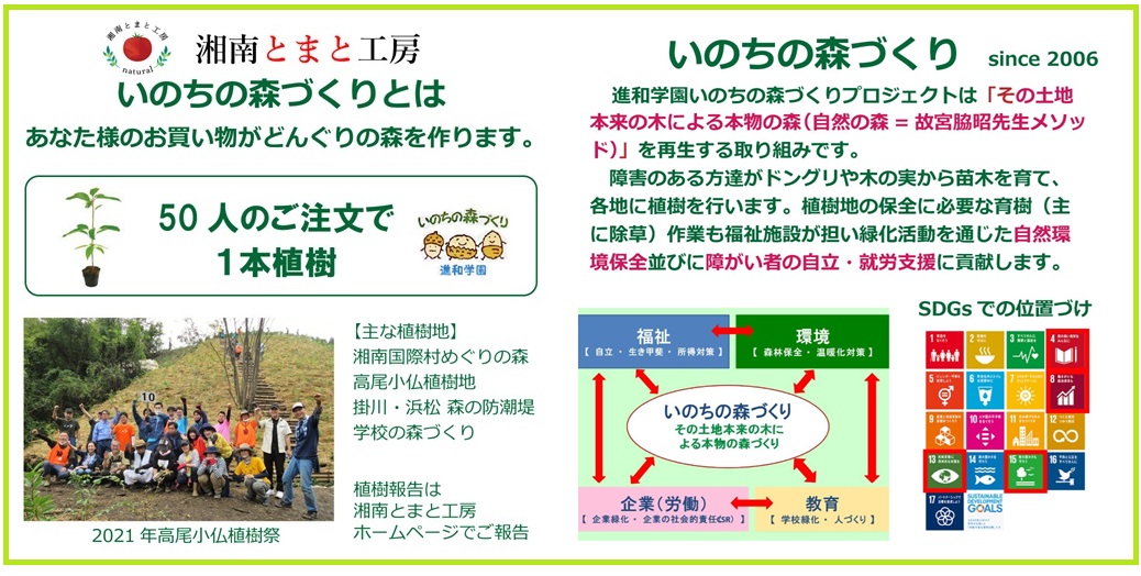 湘南とまと工房・植樹ｈｐIMG_1045.jpg