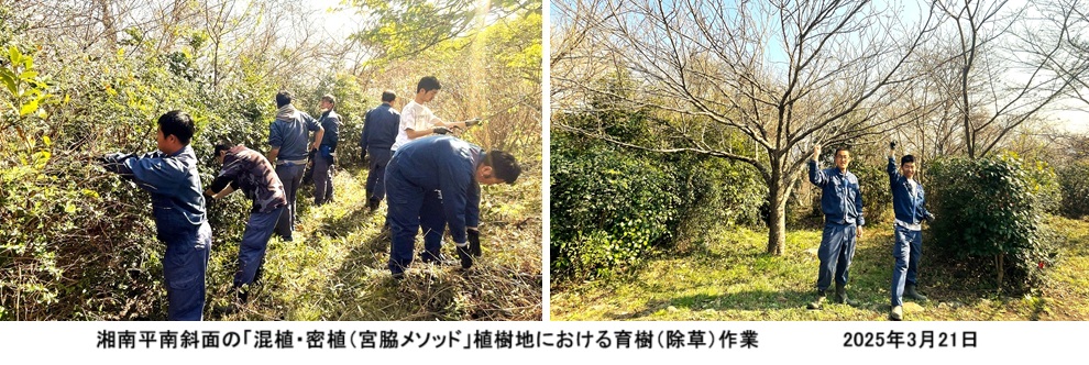 湘南平ｈｐ1742542669394.jpg
