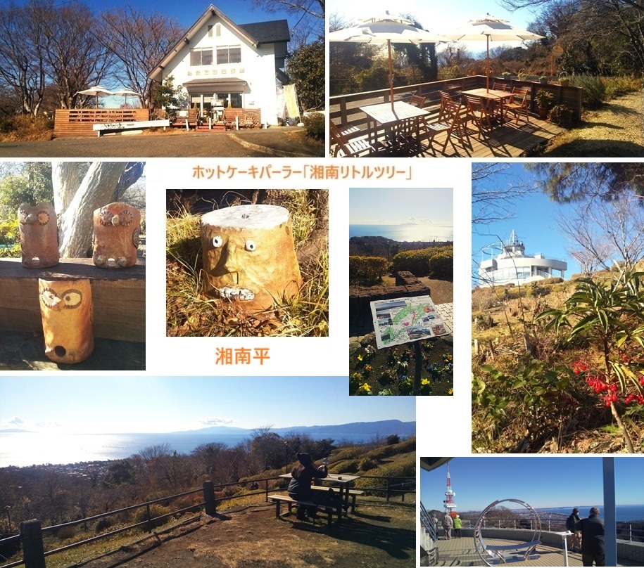 湘南平ｈｐDSC_2803.jpg