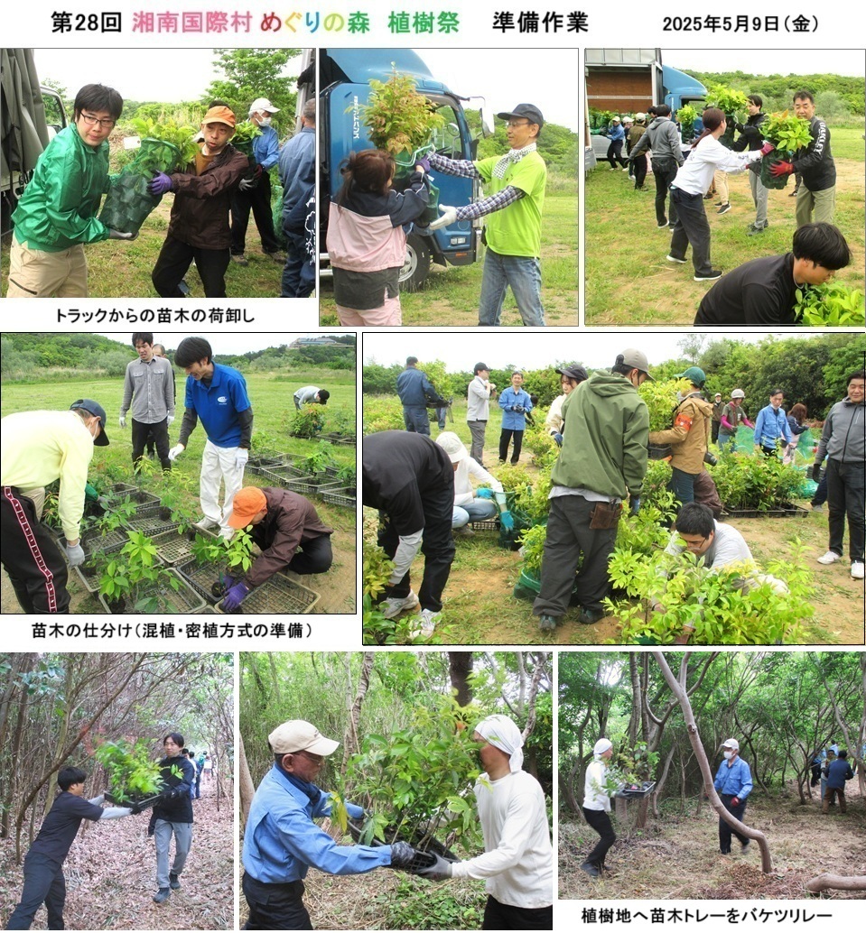 準備作業ｈｐIMG_3490.jpg