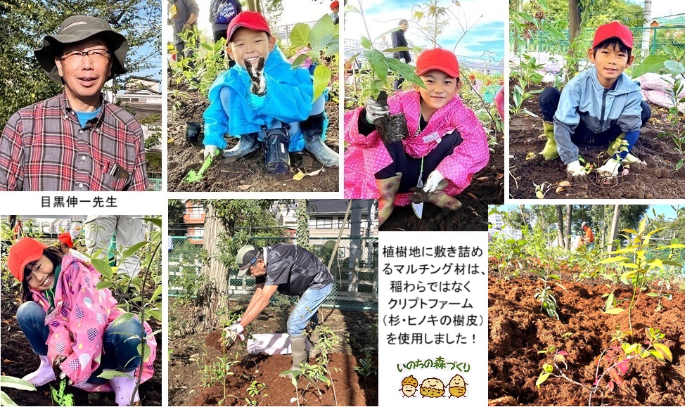 目黒先生hp094767.jpg