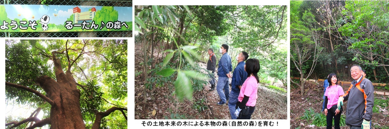 看板hpIMG_3375.jpg
