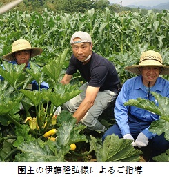 秦野いとう農園20130610.jpg