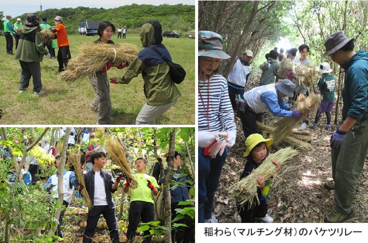 稲わら運びIhpMG_3598.jpg