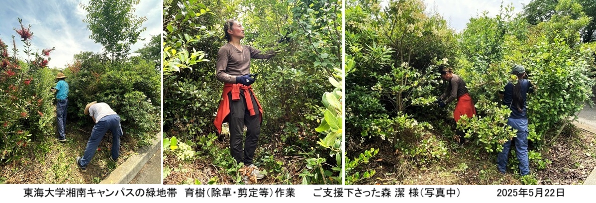 育樹hp1747913851646.jpg