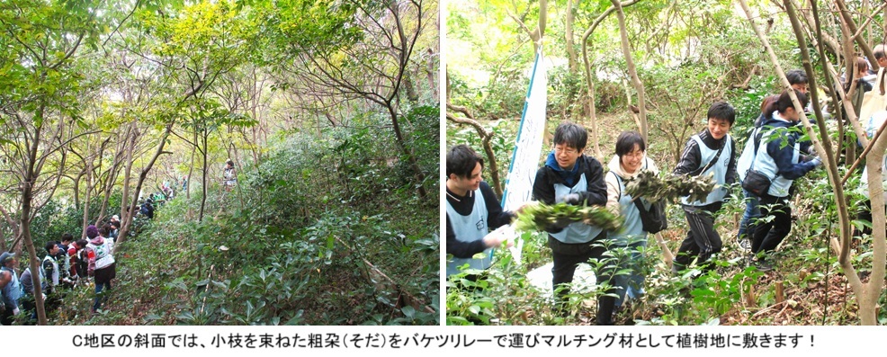 育樹Ｃ地区hpIMG_1791.jpg
