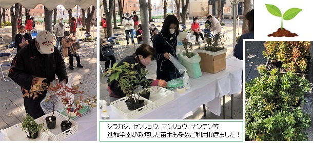 苗木hpIMG_2669.jpg