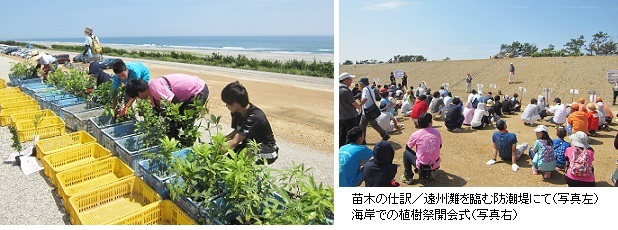 苗木の仕訳hp2IMG_2932.jpg