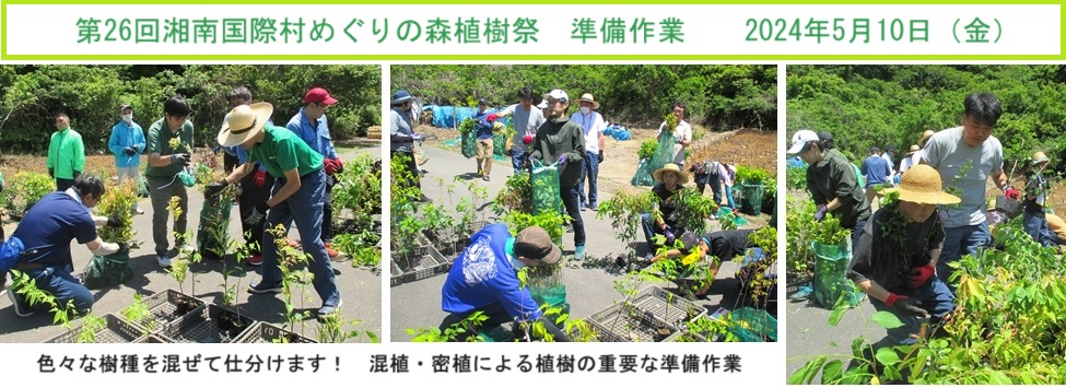 苗木仕訳hp２IMG_9811.jpg