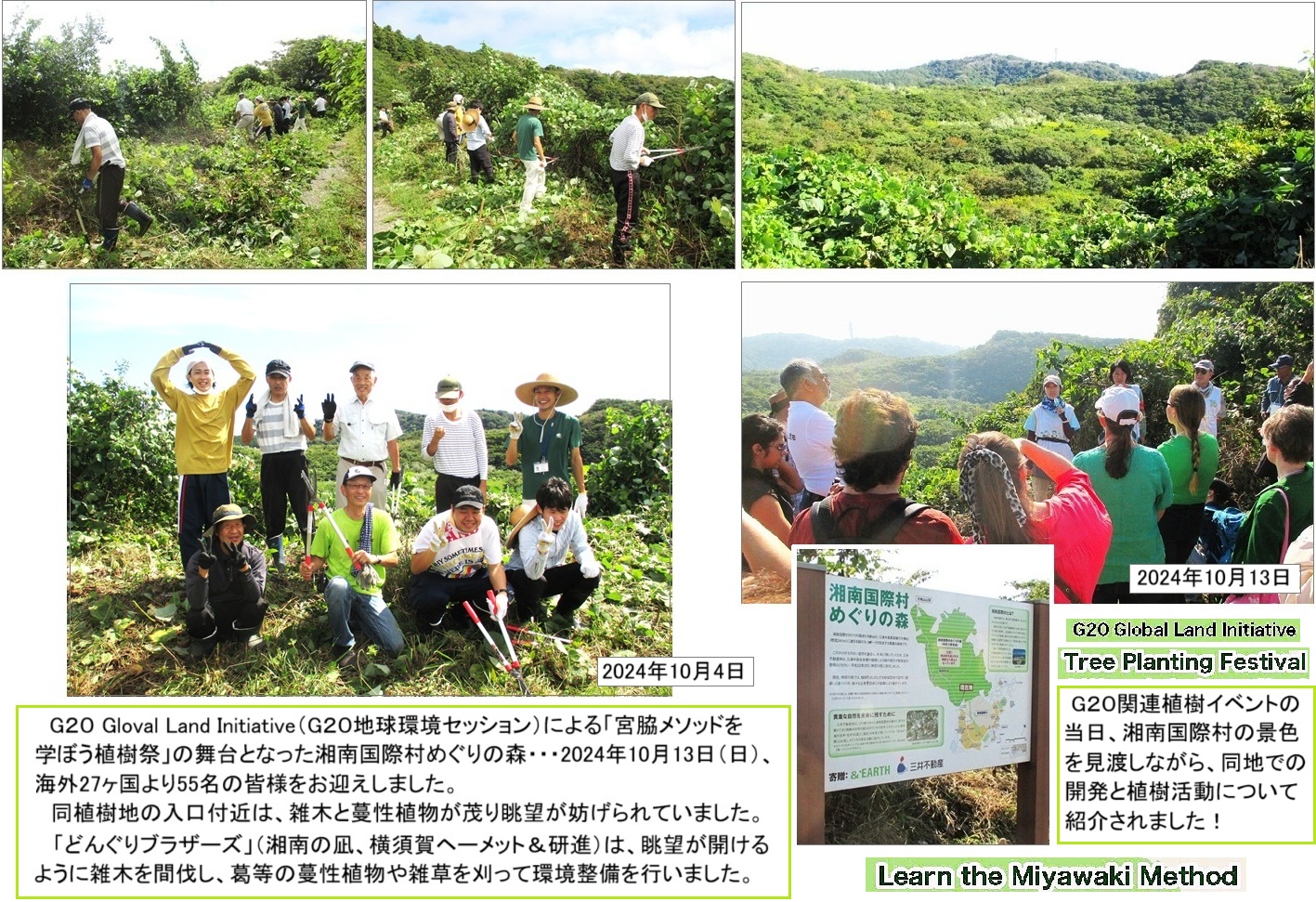 草刈りhpIMG_1100.jpg