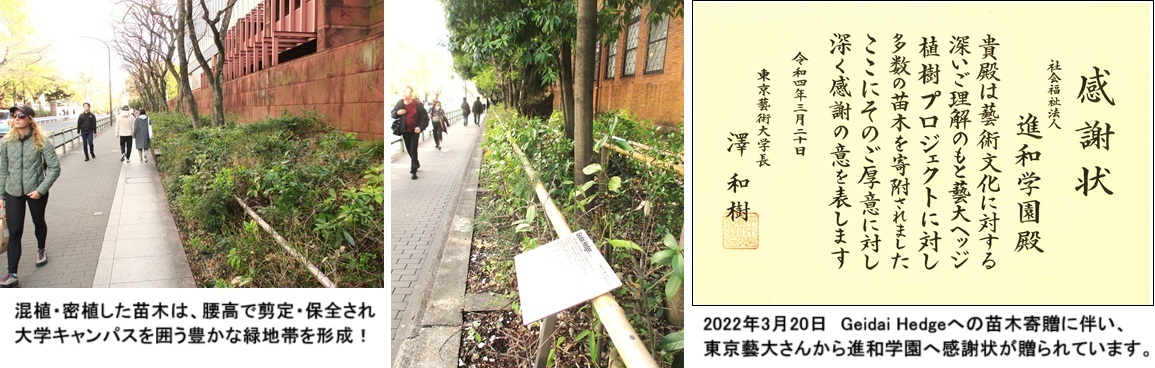藝大hpIMG_2969.jpg