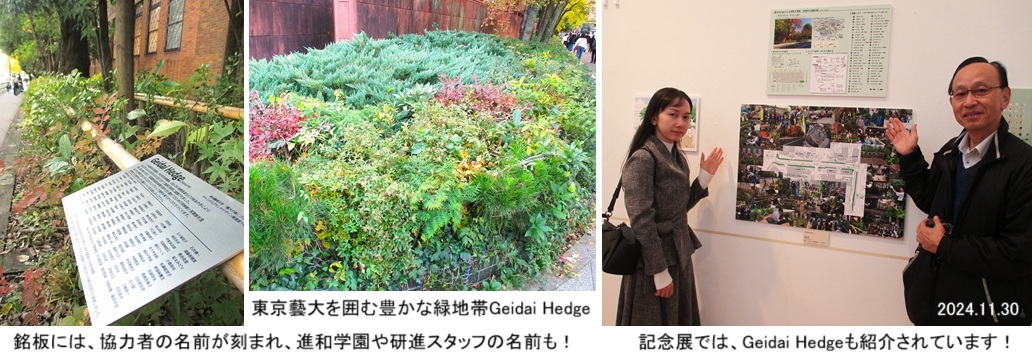 藝大ヘッジhpIMG_2038.jpg