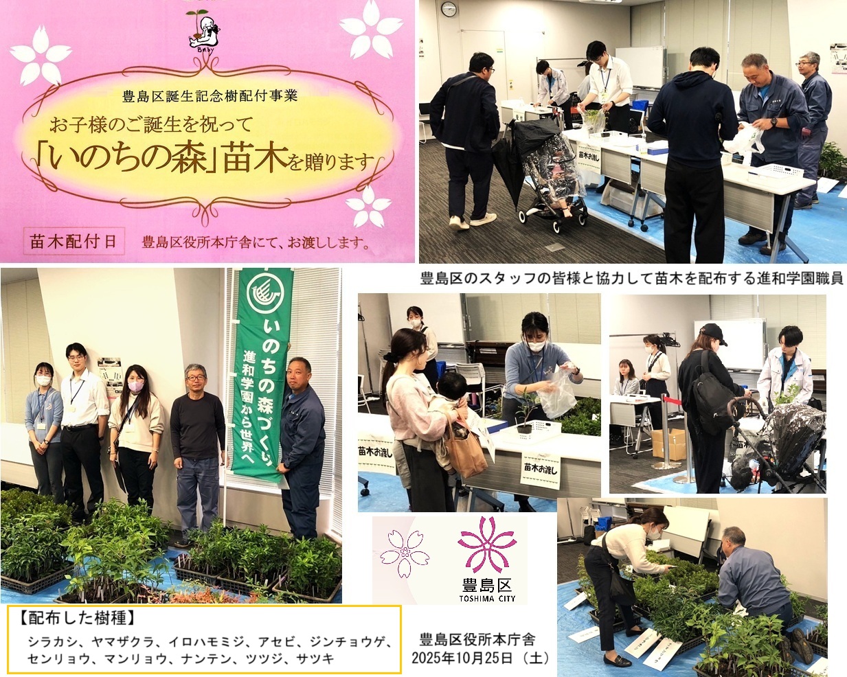 誕生記念樹ｈｐ251025ｈｐ~2.jpg