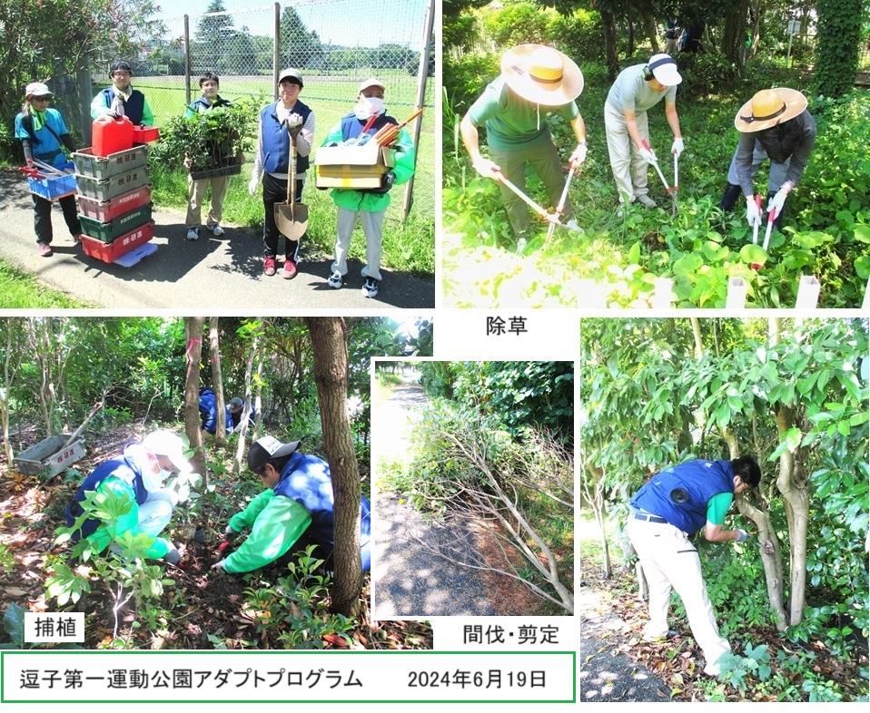 資材運びhpIMG_0198.jpg