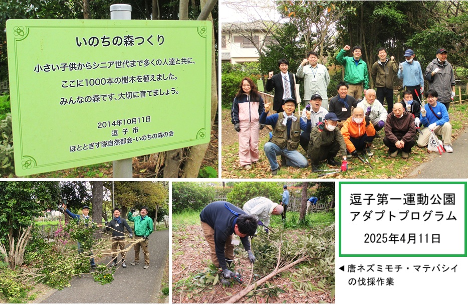 逗子第一運動公園hpIMG_3270.jpg