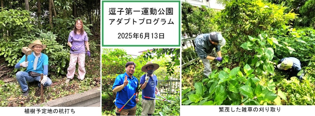 逗子第一運動公園hp２IMG_3270.jpg