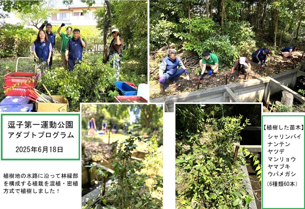 逗子第一運動公園hp３IMG_3270.jpg