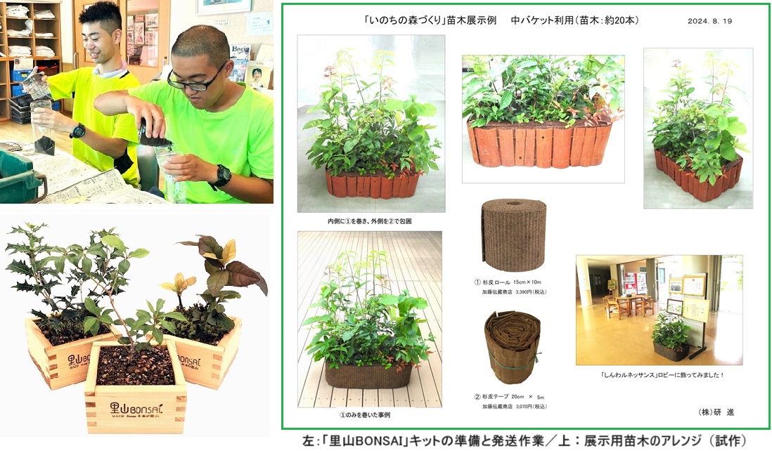里山BONSAI作業ｈｐMG_20240610_141135.jpg