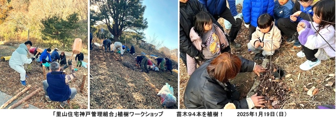 里山住宅神戸管理組合植樹ｈｐI609.jpg