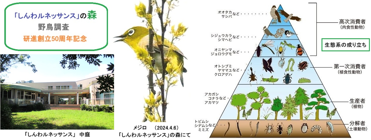 野鳥調査ｈｐDSC_2108.jpg