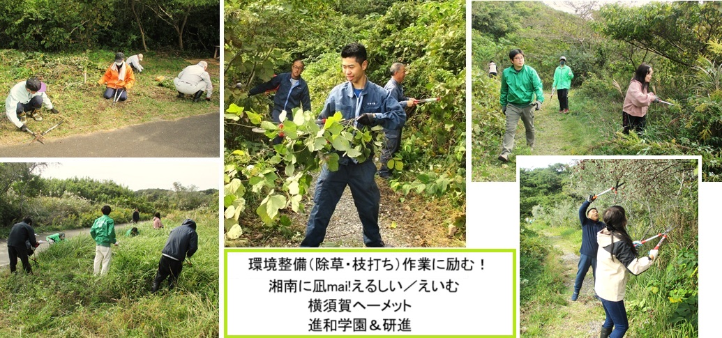 除草hpIMG_1669.jpg