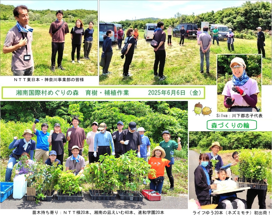 顔合わせｈｐ25636.jpg