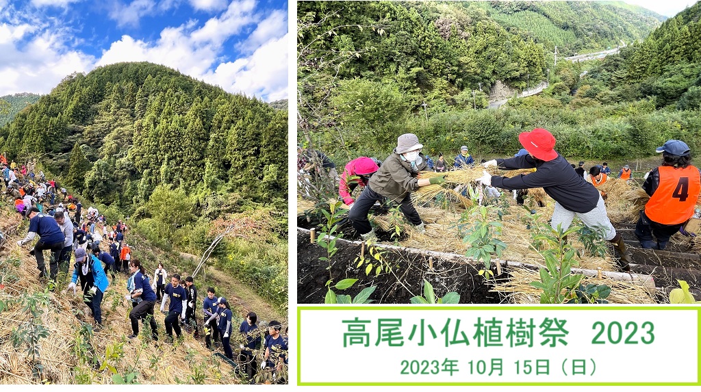 高尾小仏植樹祭 2023 高尾hp1697364725611.jpg