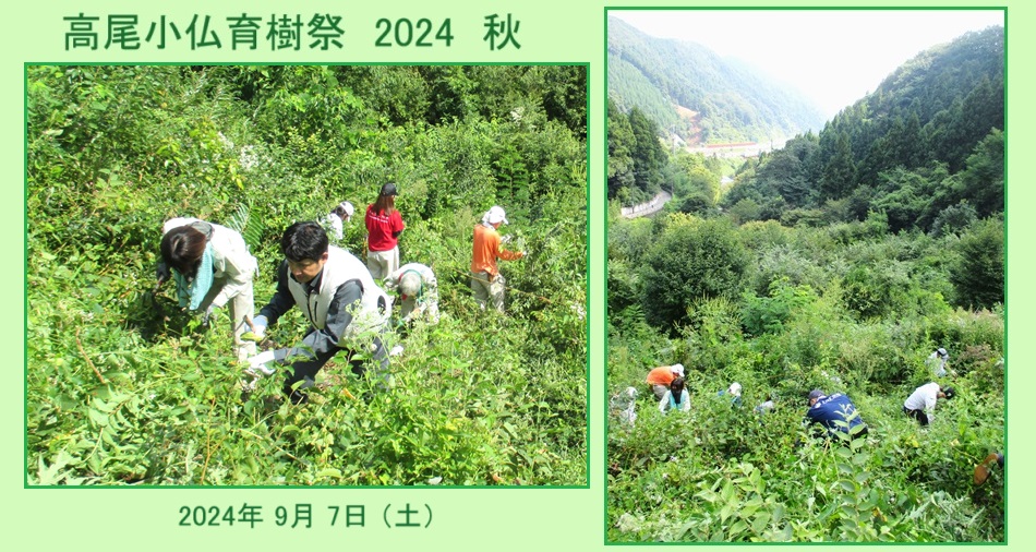 高尾育樹祭2024秋hpIMG_3595.jpg